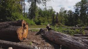 Mulching Services in Rio Vista, CA